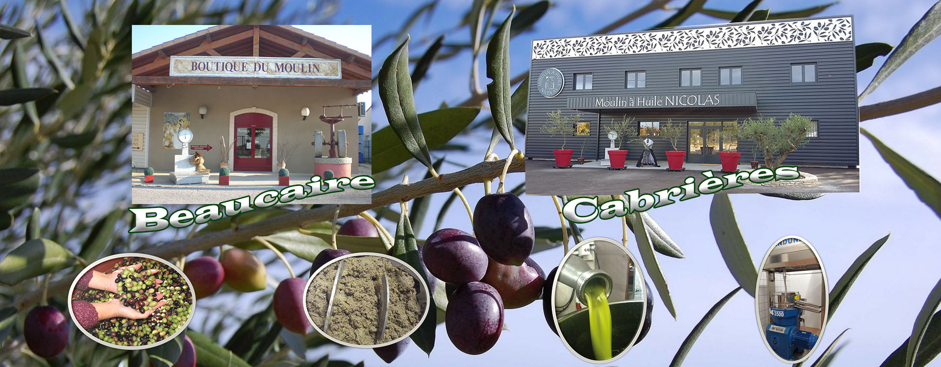 Fabrication de votre huile d'olive Beaucaire ou Cabrières