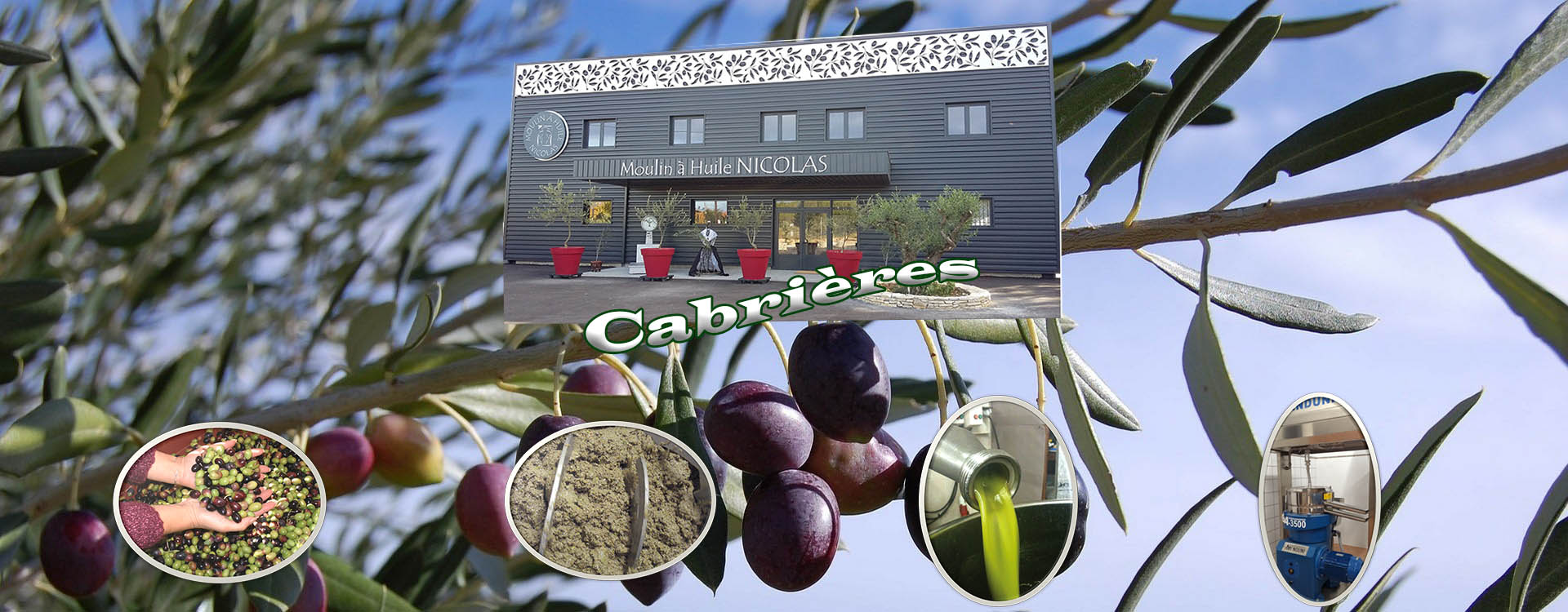 Fabrication de votre huile d'olive à Cabrières